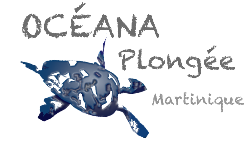 Logo Oceana Gris
