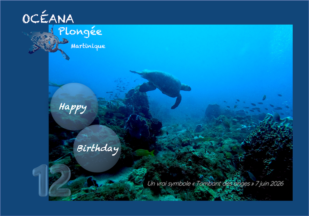 Juin 26 - OCEANA 12 ans et Plongée SUNRISE